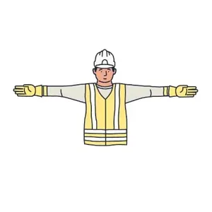 Traffic Marshall